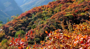 Time Traveller Boutique Hotel - Near Peking Man Site at Zhoukoudian, University of Chinese Academy of Social Sciences, Shidu Scenic Spots, Free ice cream, mineral water, coffee, snacks and laundry ser